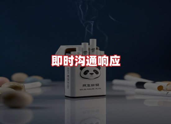 专业团队